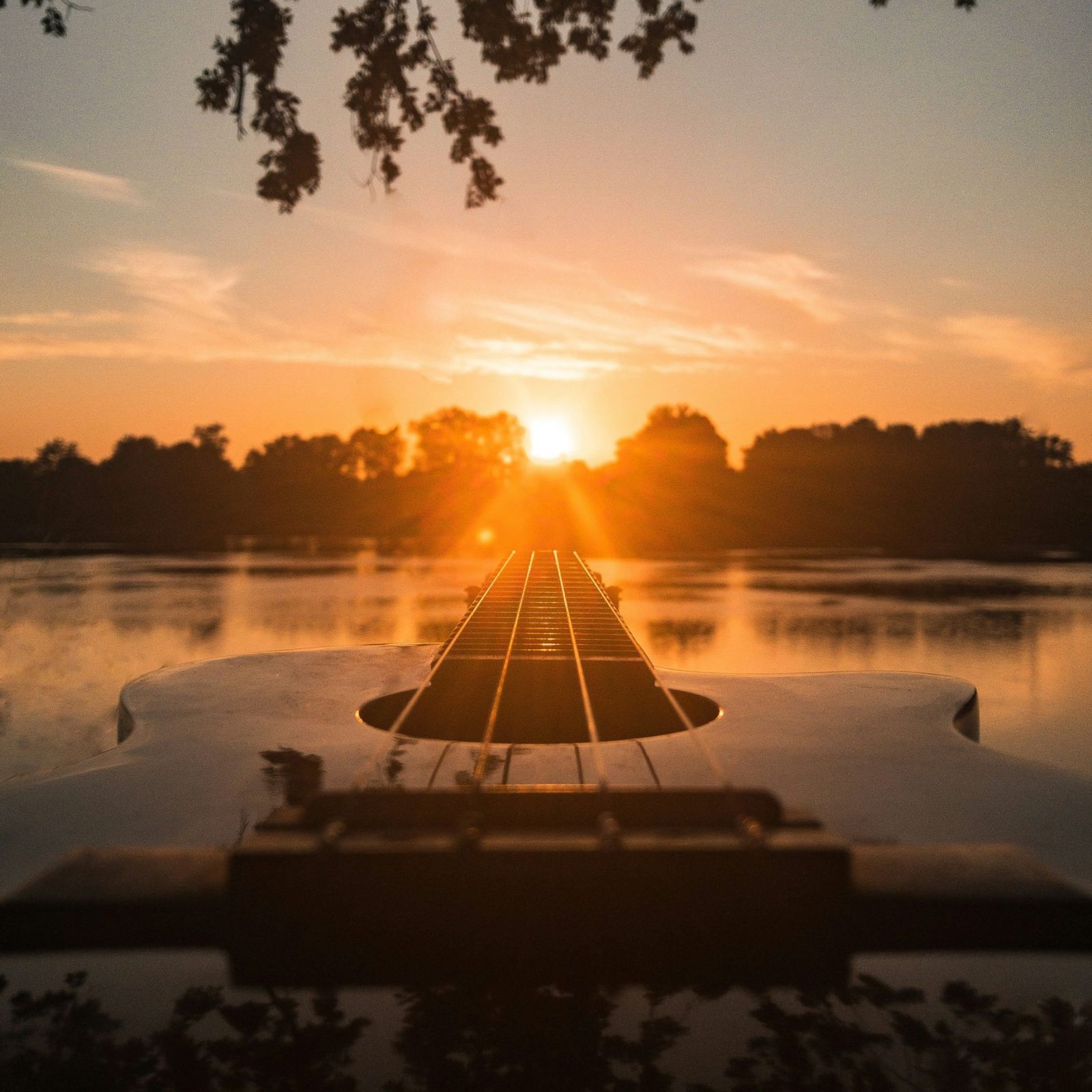 artistic shot of a bass guitar over looking a lake at sun set